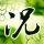 办理高仿印第安纳大学毕业证【degxx.com】