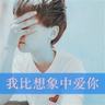 美前副总统哈里斯或再度参选总统